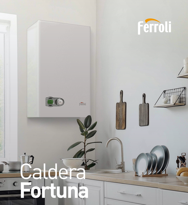 Caldera Ferroli Fortuna Dual 32 F - Image 5